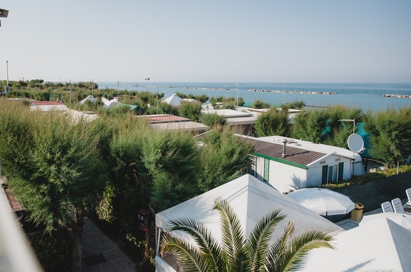 Girasole Schritte - Fermo visuel 6/8