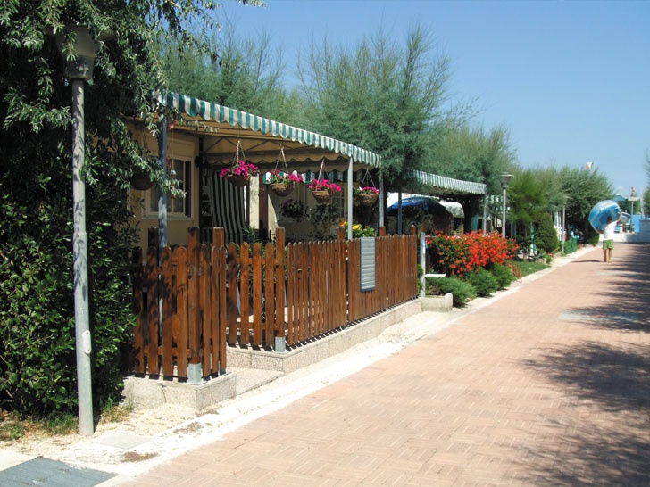 Girasole Schritte - Fermo visuel 7/8