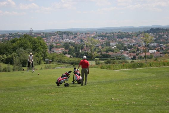 Hameau de Gîtes Lothringen - Sarrebourg visuel 6/9 Hameau de Gîtes Lothringen - Sarrebourg visuel 6/9