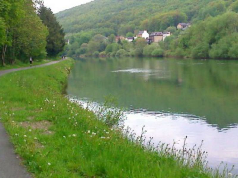 Haulmé Champagner-Ardennen - Haulmé visuel 7/7 Haulmé Champagner-Ardennen - Haulmé visuel 7/7