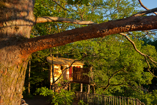 Hêtre sous le Charme Limousin - Saint-Martial-Entraygues visuel 5/10