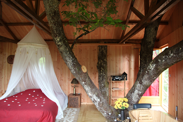 Hêtre sous le Charme Limousin - Saint-Martial-Entraygues visuel 6/10