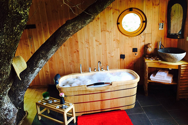 Hêtre sous le Charme Limousin - Saint-Martial-Entraygues visuel 8/10