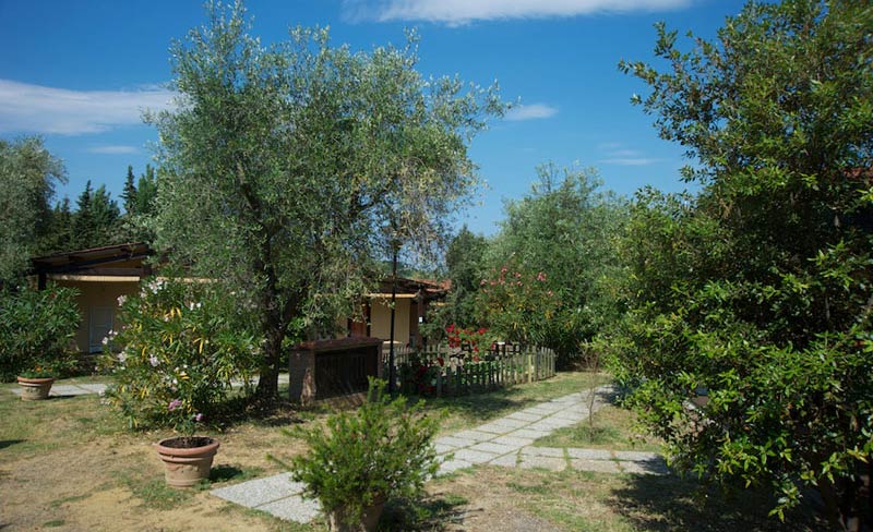 Il Fontino Toskana - Scarlino visuel 5/10