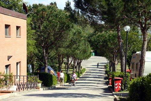 Il Poggetto Toskana - Troghi visuel 6/8