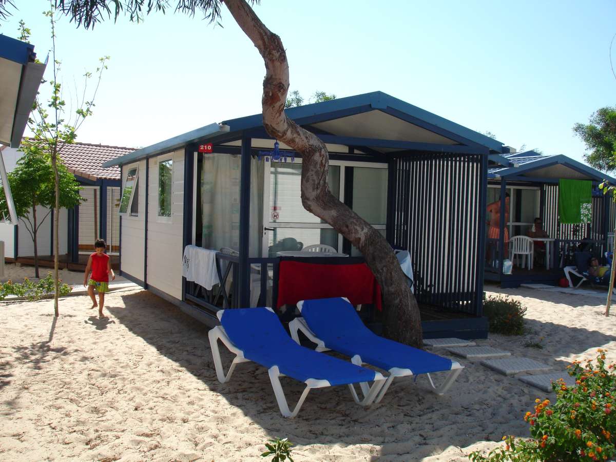 Ilha de Armona Algarve - Olhão visuel 5/6