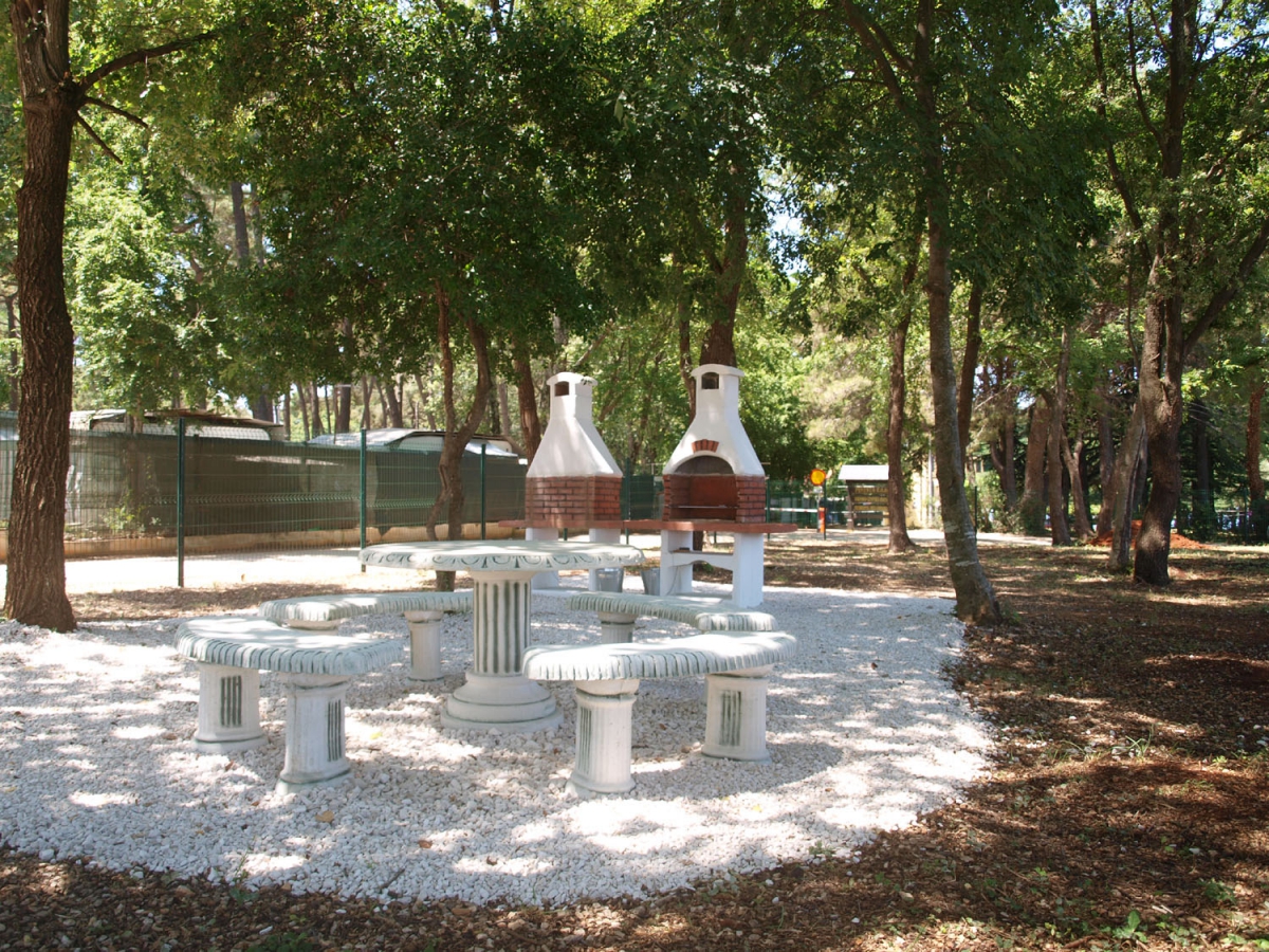 Kastanija Istrien - Novigrad visuel 5/10