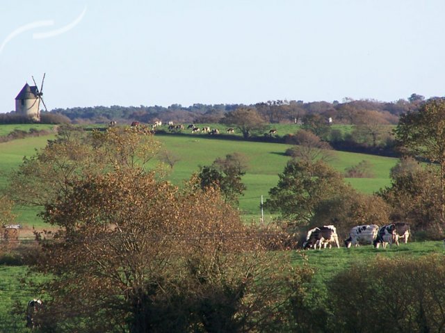 Kernéjeune Bretagne - Arzal visuel 7/11