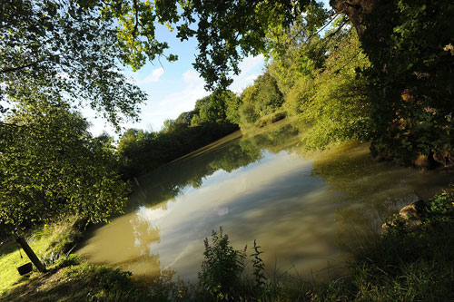 Kimaro Farmhouse Burgunder - Colméry visuel 4/9 Kimaro Farmhouse Burgunder - Colméry visuel 4/9