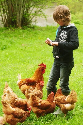 Kimaro Farmhouse Burgunder - Colméry visuel 9/9 Kimaro Farmhouse Burgunder - Colméry visuel 9/9