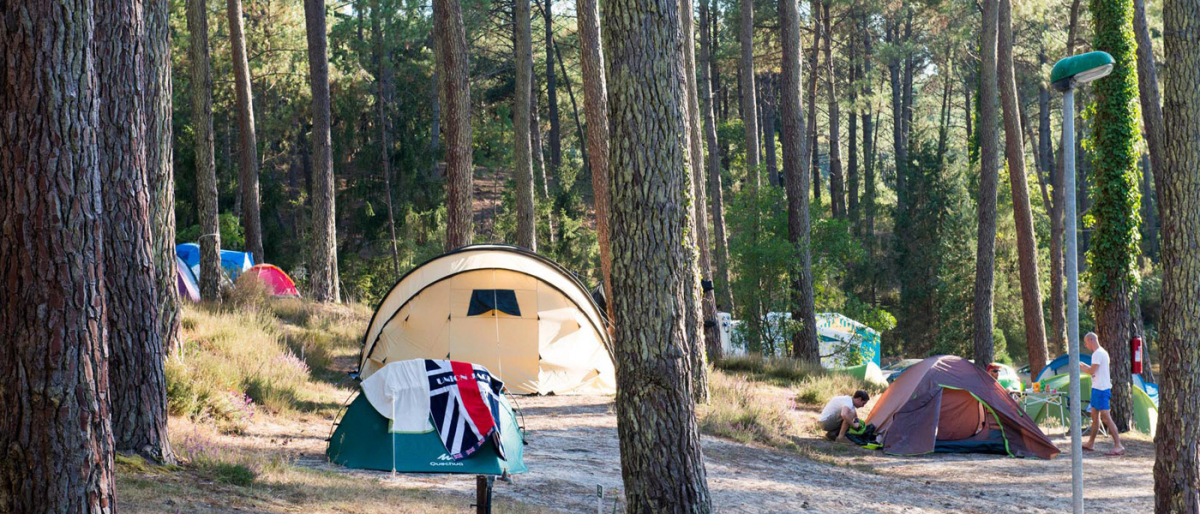 l'Etang Blanc Aquitanien - Seignosse visuel 5/5 l'Etang Blanc Aquitanien - Seignosse visuel 5/5