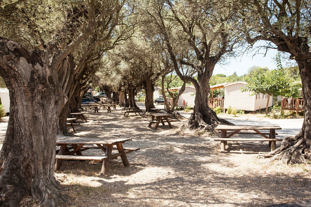 La Baie des Anges Provence-Alpes-Côte d'Azur - La Ciotat visuel 12/15 La Baie des Anges Provence-Alpes-Côte d'Azur - La Ciotat visuel 12/15