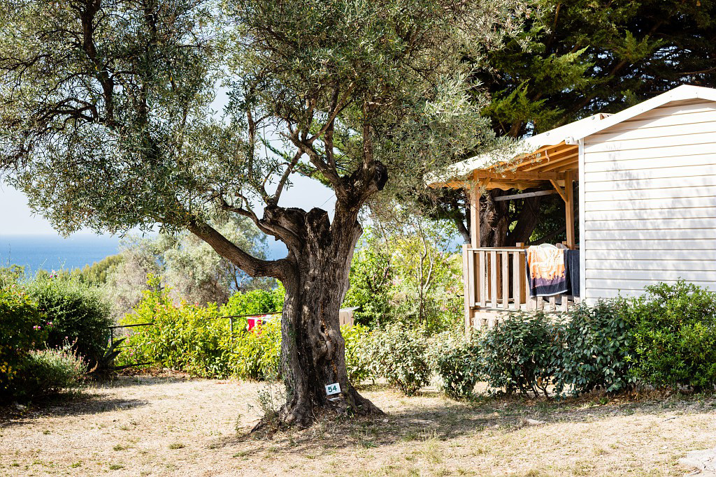 La Baie des Anges Provence-Alpes-Côte d'Azur - La Ciotat visuel 7/15 La Baie des Anges Provence-Alpes-Côte d'Azur - La Ciotat visuel 7/15