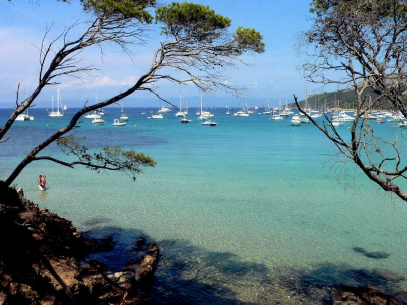 La Bergerie Plage Provence-Alpes-Côte d'Azur - Hyères visuel 1/7 La Bergerie Plage Provence-Alpes-Côte d'Azur - Hyères visuel 1/7