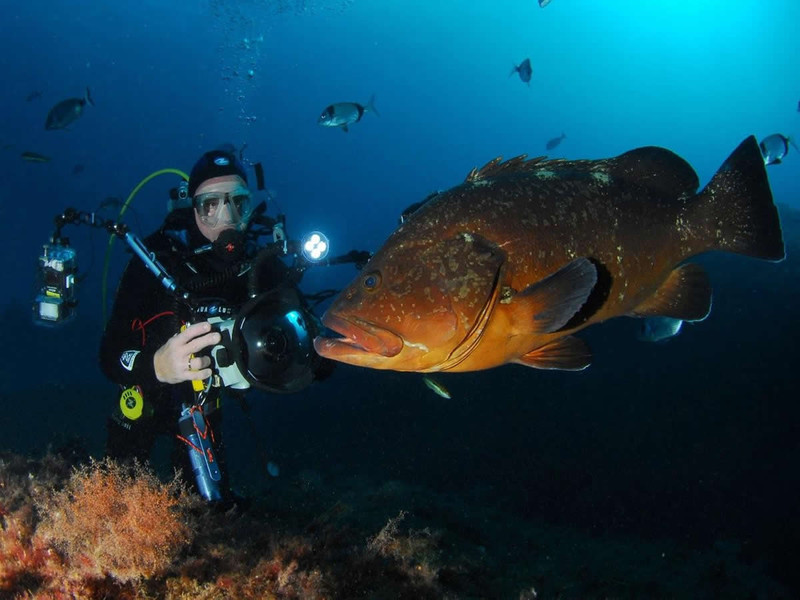 La Bergerie Plage Provence-Alpes-Côte d'Azur - Hyères visuel 7/7 La Bergerie Plage Provence-Alpes-Côte d'Azur - Hyères visuel 7/7
