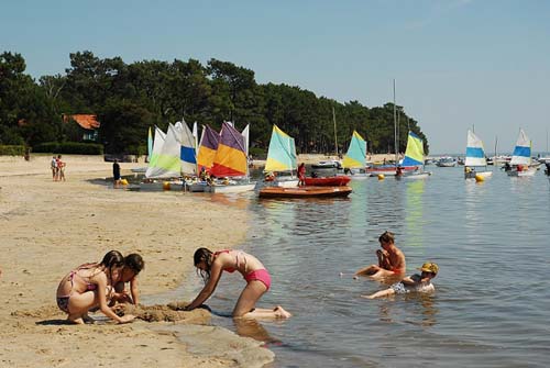 La Canadienne Aquitanien - Arès visuel 2/10 La Canadienne Aquitanien - Arès visuel 2/10