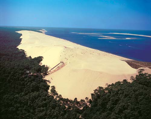 La Canadienne Aquitanien - Arès visuel 6/10 La Canadienne Aquitanien - Arès visuel 6/10