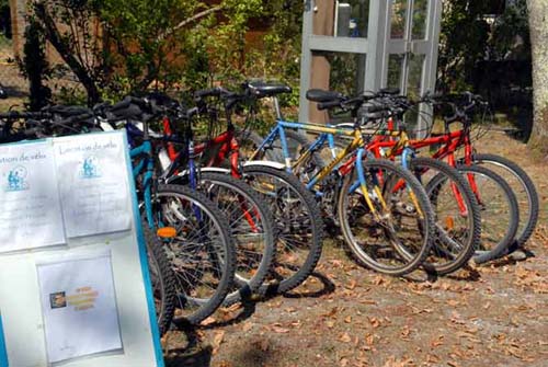 La Canadienne Aquitanien - Arès visuel 8/10 La Canadienne Aquitanien - Arès visuel 8/10