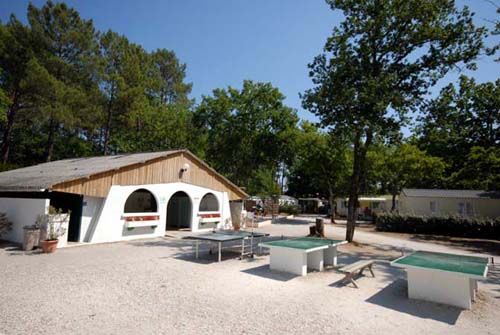 La Canadienne Aquitanien - Arès visuel 9/10 La Canadienne Aquitanien - Arès visuel 9/10