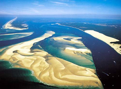 La Canadienne Aquitanien - Arès visuel 10/10 La Canadienne Aquitanien - Arès visuel 10/10