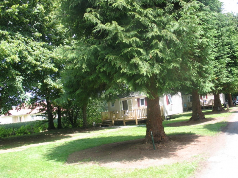 La Cazine Limousin - Noth visuel 2/8 La Cazine Limousin - Noth visuel 2/8