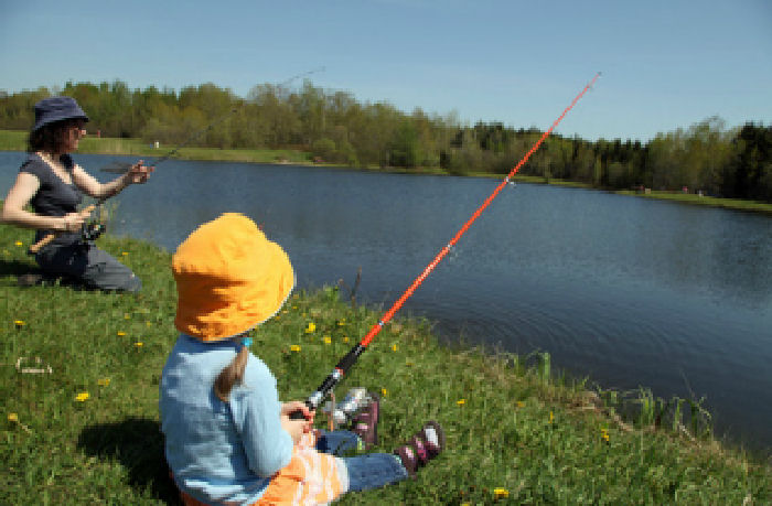 La Cazine Limousin - Noth visuel 8/8 La Cazine Limousin - Noth visuel 8/8