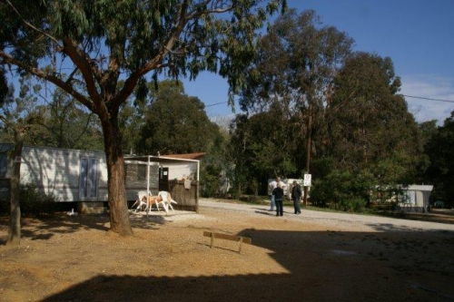 La Celinette Provence-Alpes-Côte d'Azur - Bormes-les-Mimosas visuel 1/1 La Celinette Provence-Alpes-Côte d'Azur - Bormes-les-Mimosas visuel 1/1