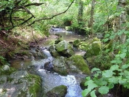 La Chazalet  Rhône-Alpen - Saint-Julien-Labrousse visuel 4/4