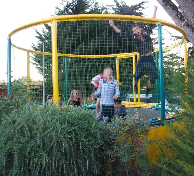 La Chênaie Das Loire-Gebiet - Pornic visuel 5/12