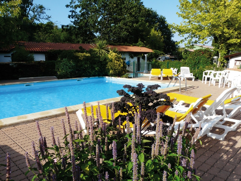 La Cigale Aquitanien - Arès visuel 1/10