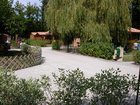 La Cigale Aquitanien - Arès visuel 4/10