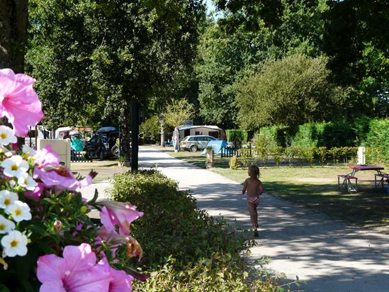 La Cigale Aquitanien - Arès visuel 6/10
