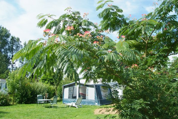 La Citadelle Großes Zentrum - Loches visuel 4/10 La Citadelle Großes Zentrum - Loches visuel 4/10
