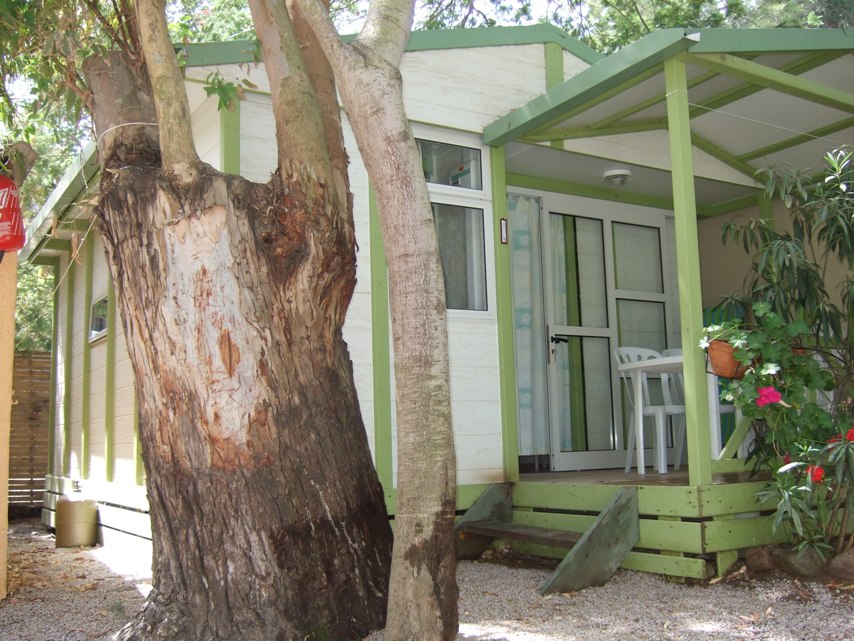 La Clé des Champs Korsika - Calvi visuel 5/7 La Clé des Champs Korsika - Calvi visuel 5/7