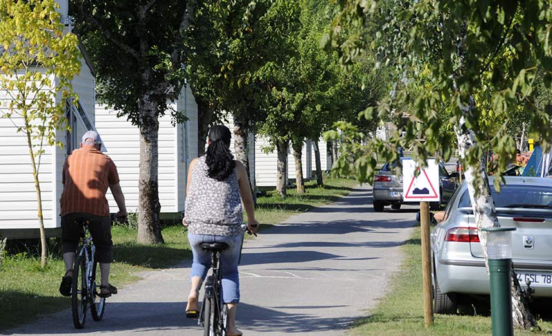 La Clé des Champs Poitou-Charentes - Les Mathes-La Palmyre visuel 8/11 La Clé des Champs Poitou-Charentes - Les Mathes-La Palmyre visuel 8/11