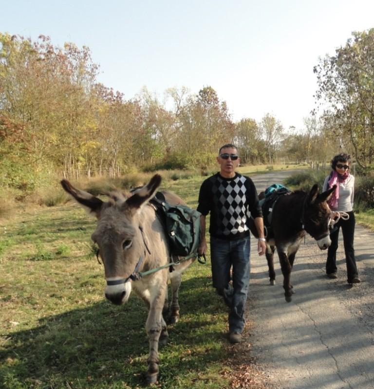 La Clé des Champs Das Loire-Gebiet - Luçon visuel 8/8 La Clé des Champs Das Loire-Gebiet - Luçon visuel 8/8