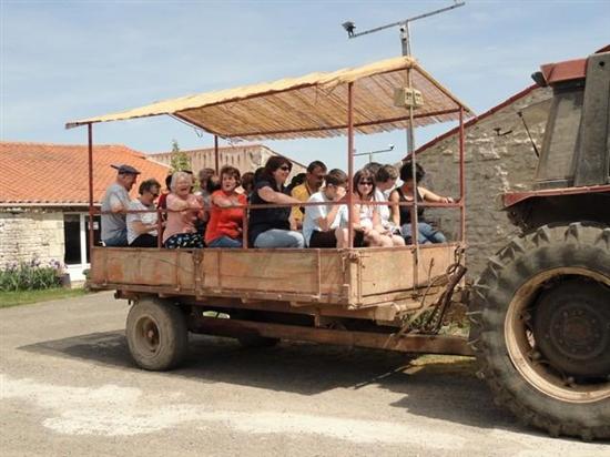 La Clé des Champs Das Loire-Gebiet - Luçon visuel 3/8 La Clé des Champs Das Loire-Gebiet - Luçon visuel 3/8