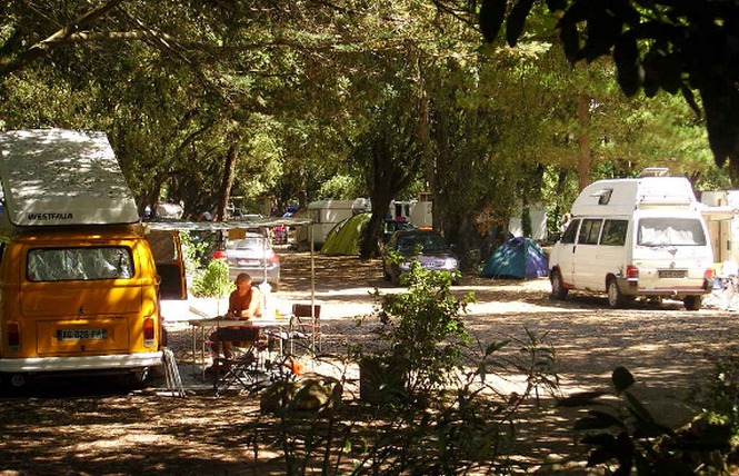 La Clère Das Loire-Gebiet - Noirmoutier-en-l'Île visuel 3/3 La Clère Das Loire-Gebiet - Noirmoutier-en-l'Île visuel 3/3