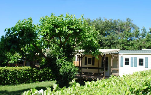 La Combe Languedoc-Roussillon - Barjac visuel 4/5