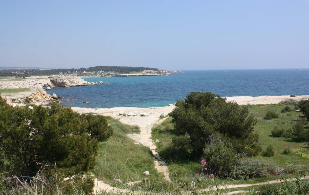 L'Arquet Côte Bleue - Provence-Alpes-Côte d'Azur - Martigues visuel 8/8 L'Arquet Côte Bleue - Provence-Alpes-Côte d'Azur - Martigues visuel 8/8
