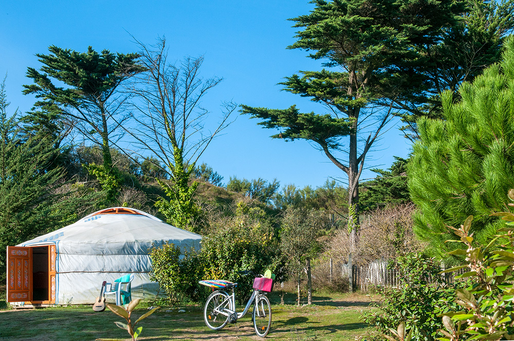 La Côte Sauvage Poitou-Charentes - Saint-Clément-des-Baleines visuel 9/17