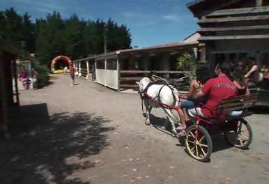 La Dive Das Loire-Gebiet - Saint-Michel-en-l'Herm visuel 6/10 La Dive Das Loire-Gebiet - Saint-Michel-en-l'Herm visuel 6/10