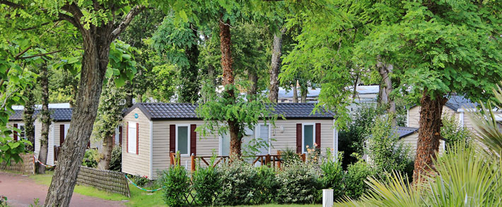 La Ferme Poitou-Charentes - Saint-Augustin visuel 13/27 La Ferme Poitou-Charentes - Saint-Augustin visuel 13/27