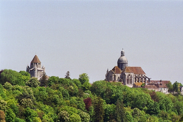 La Ferté Gaucher Ile de France - La Ferté-Gaucher visuel 7/10
