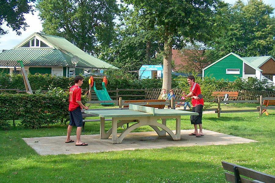 La Forêt Haute-Normandie - Jumièges visuel 6/10