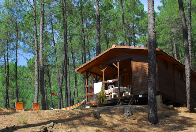 La Forêt Languedoc-Roussillon - Saint-Jean-du-Gard visuel 5/6 La Forêt Languedoc-Roussillon - Saint-Jean-du-Gard visuel 5/6