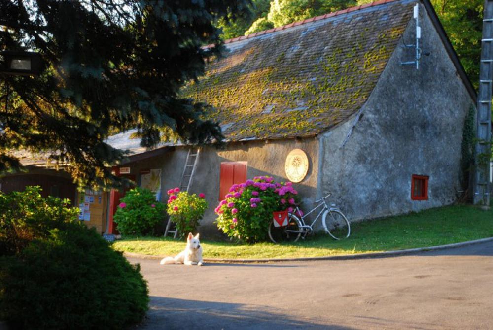 La Forêt Midi-Pyrénées - Lourdes visuel 7/15