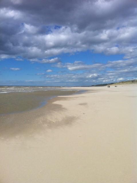 La Forêt Nord-Pas de Calais - Cucq visuel 3/3 La Forêt Nord-Pas de Calais - Cucq visuel 3/3