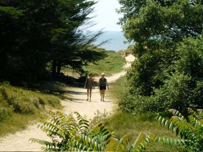 La Forêt Das Loire-Gebiet - Saint-Jean-de-Monts visuel 5/11 La Forêt Das Loire-Gebiet - Saint-Jean-de-Monts visuel 5/11