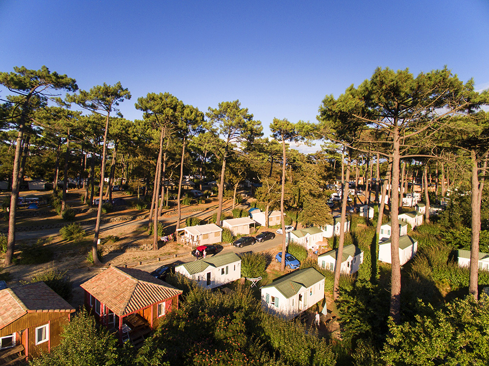 La Forêt du Pilat Aquitanien - Pyla sur Mer visuel 17/25